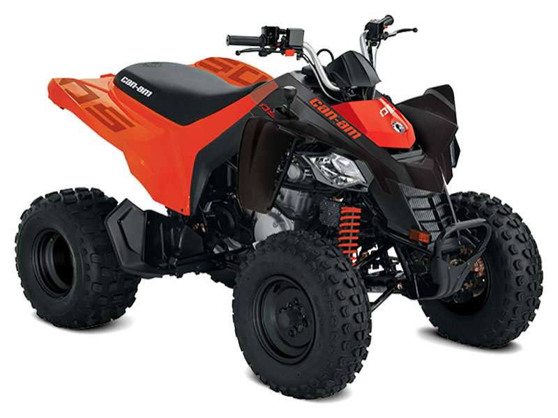 Can-Am DS 250 STD (2023) Traction : 2×4